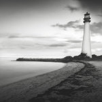 Searching giclee art print