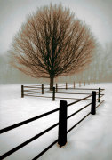 Solitude giclee art print
