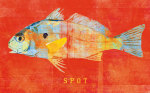Spot giclee art print