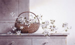 Spring Blossoms giclee art print