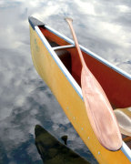 Still giclee art print