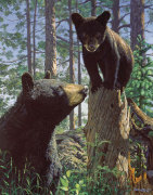 Stump Jumper giclee art print