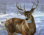 Through My Window- Whitetail Deer giclee art print