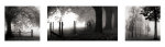 Tranquil Morning giclee art print