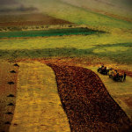 Transylvania 2 giclee art print
