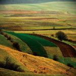 Transylvania giclee art print