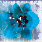 Tulip Fresco (blue) giclee art print