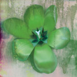 Tulip Fresco (green) giclee art print