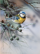 Jan Weenink art print