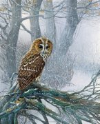 Jan Weenink art print