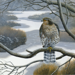 Jan Weenink art print