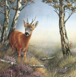 Jan Weenink art print