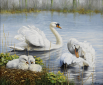 Peter Motz art print