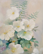 Willem Haenraets art print