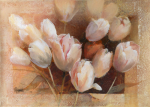 Willem Haenraets art print