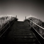 Up and Down giclee art print