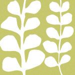 White Fern on Green giclee art print