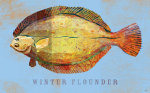 Winter Flounder giclee art print