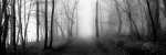 Woodland Walk giclee art print