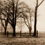 Woods with Fence giclee art print