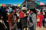 Animal market, San Francisco El Alto, Guatemala giclee art print