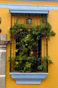 Antigua, Guatemala giclee art print