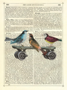 Birds on a Skateboard giclee art print