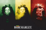 Bob Marley - Flag art print