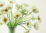 Eva Barberini art print