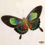 Breath giclee art print