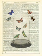 Butterfly Dome giclee art print