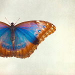 Coppertop giclee art print