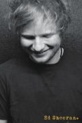 Ed Sheeran - Profile art print