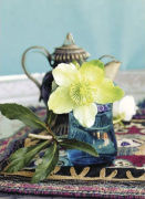 Ethnic Tea II art print