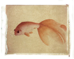 Fish 3 giclee art print