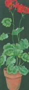 Judy Phipps art print
