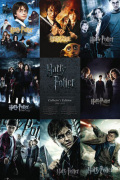 Harry Potter - Collection art print