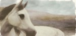 Judy Mandolf art print