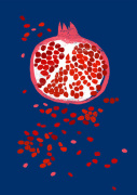 Indigo Pomegranate giclee art print