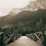 Into the Wilderness art print