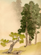 Japanese Conifers and Trees giclee art print