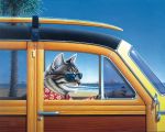 Don Roth art print