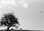 Kite-flying, Hampstead Heath giclee art print