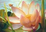 Elizabeth Horning art print