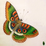 Magic giclee art print