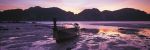 Peter Adams art print