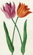 Page 27 giclee art print