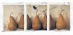 Pear Triptych giclee art print
