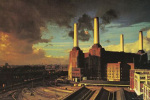Pink Floyd - Animals art print