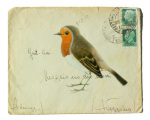 Redbreast giclee art print